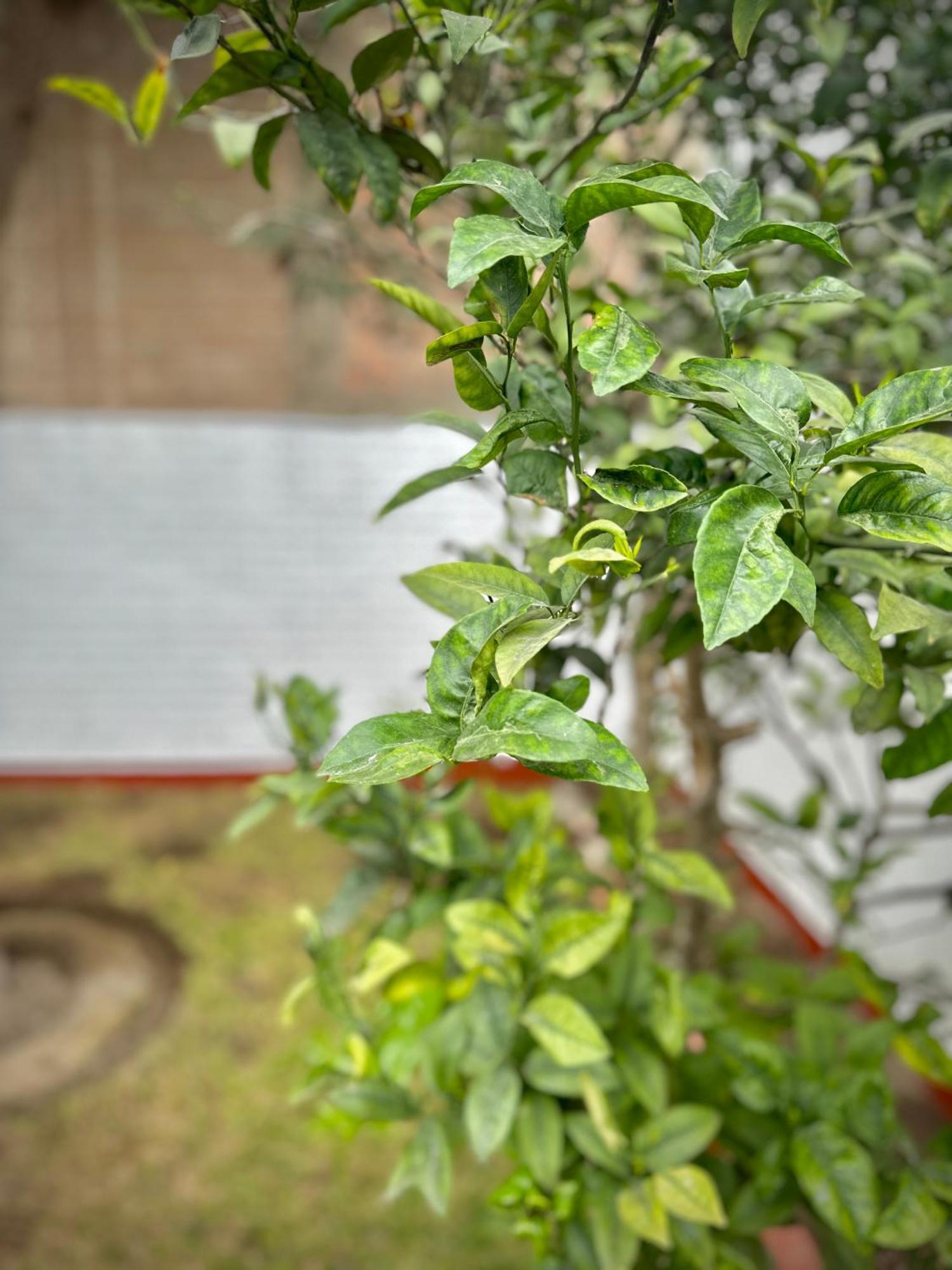 Casa Verde Jesus Maria - Zona Residencial Lima Zewnętrze zdjęcie